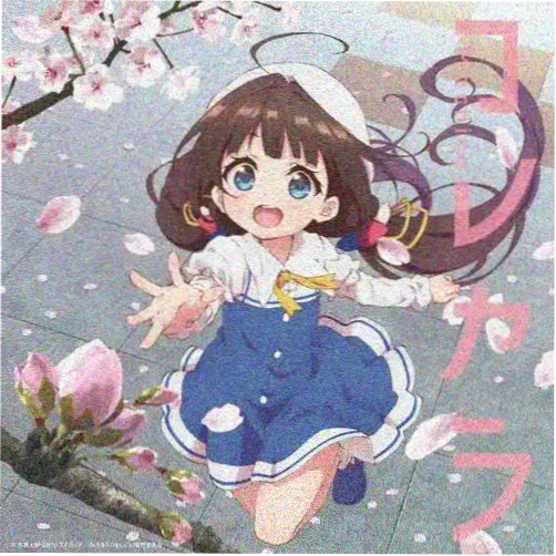 赵琳
